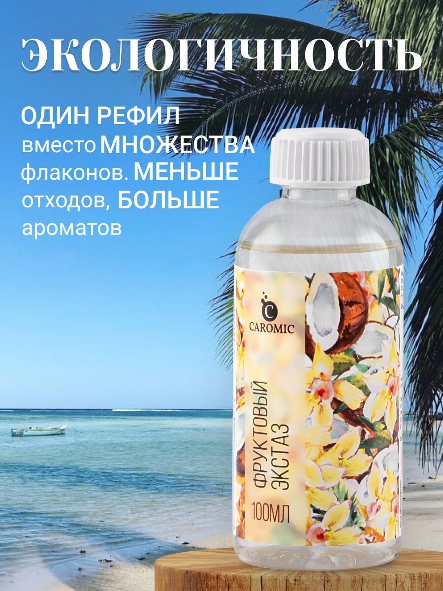 Рефил для диффузора с палочками Фруктовый экстаз CAROMIC 100 мл — фото 1