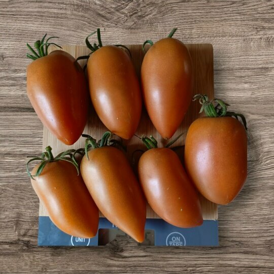 Семена коллекционного томата Бронза (Bronza amarillo rusty paste) (10шт)