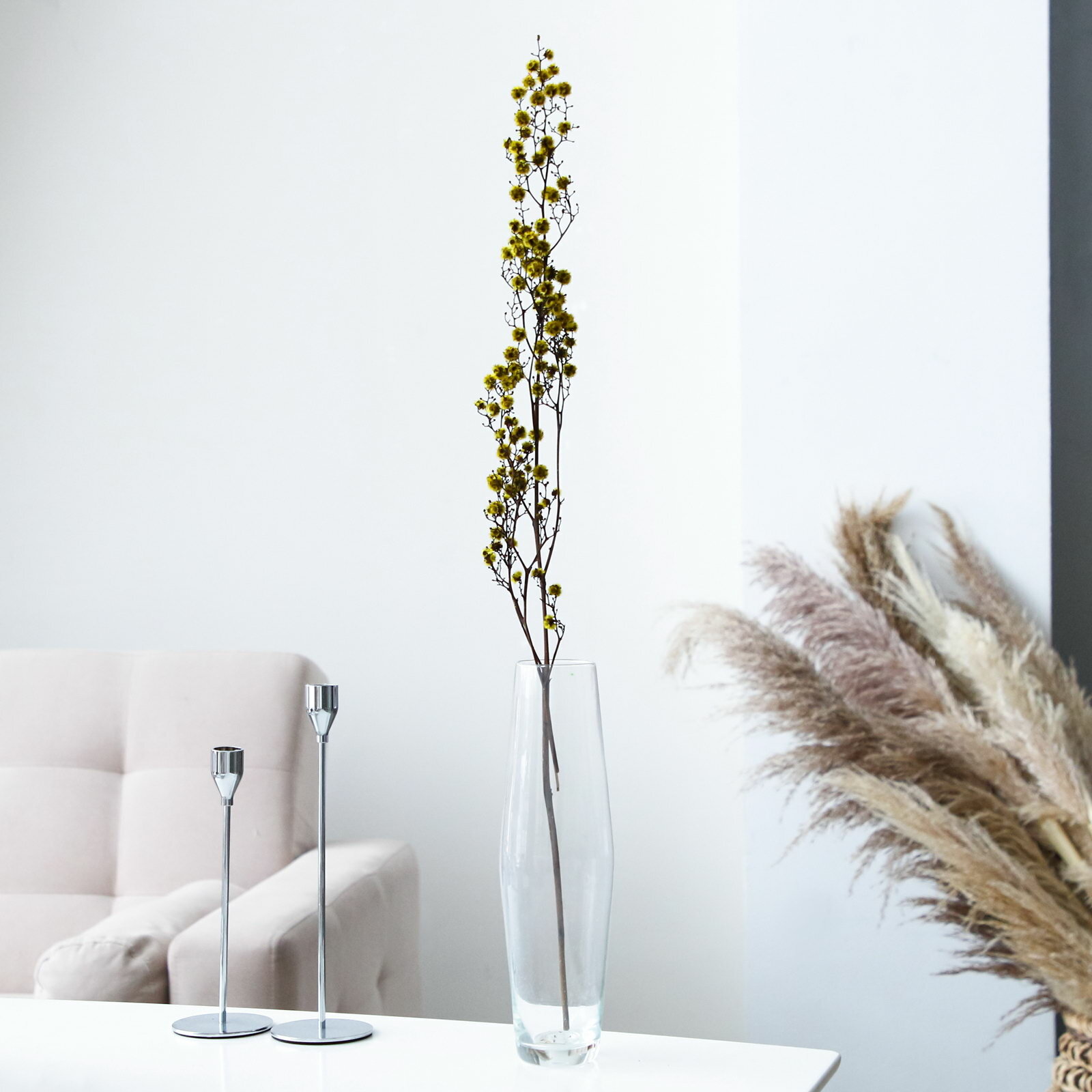 Сухие цветы 