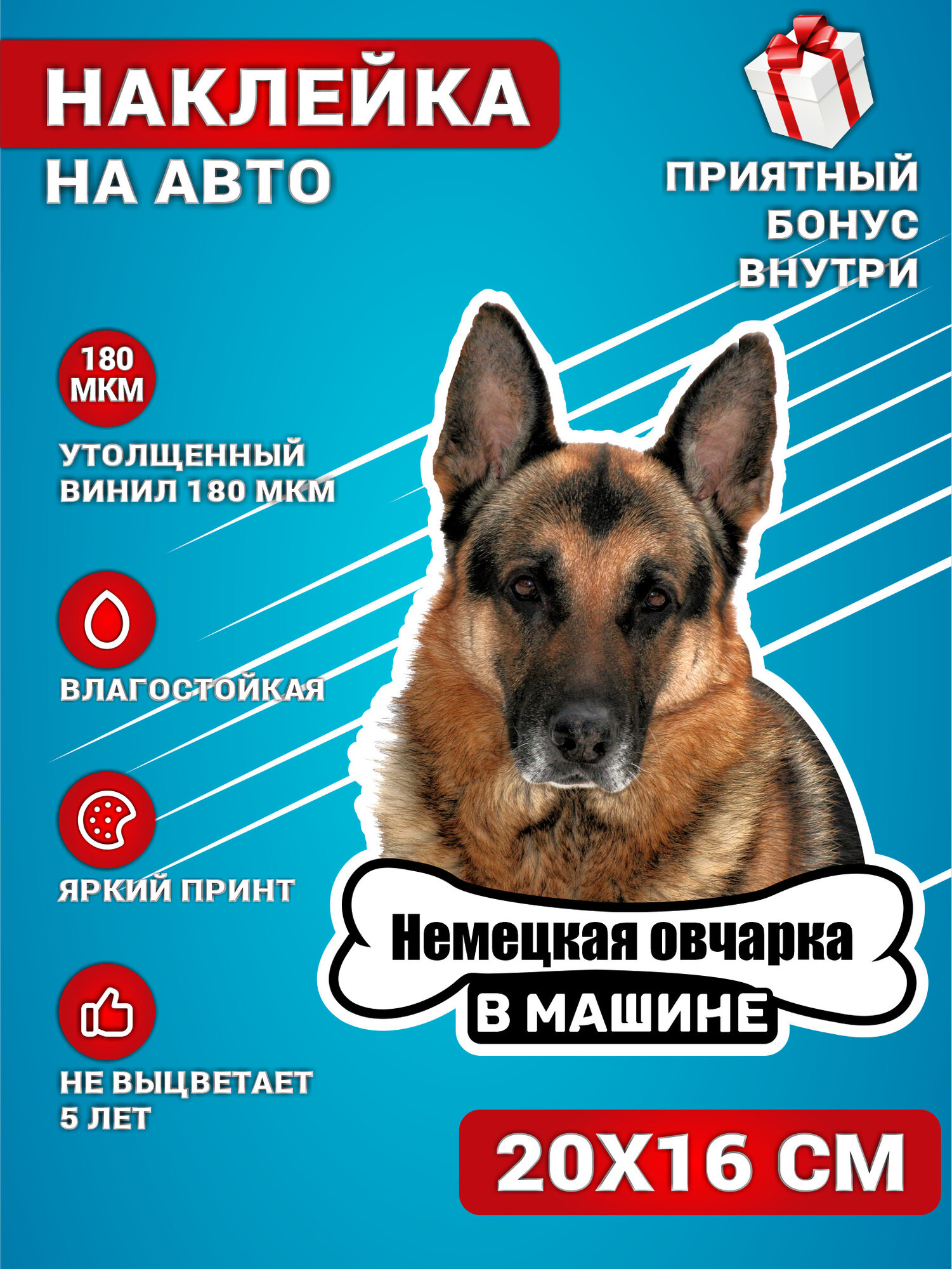 Наклейки на авто Немецкая овчарка Собака в машине 20х16