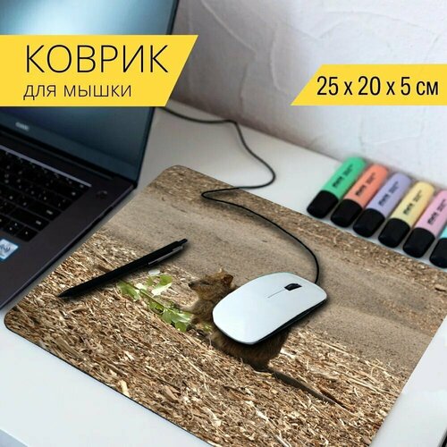 Коврик для мыши с принтом Квокка, животное, короткий хвост кенгуру 25x20см.