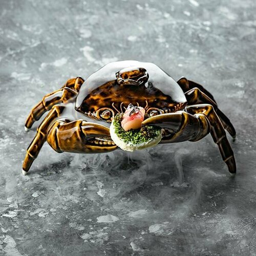 Блюдо для подачи Ро Дизайн Бай Эрбиси в виде краба с крышкой Studio Raw 8211₽