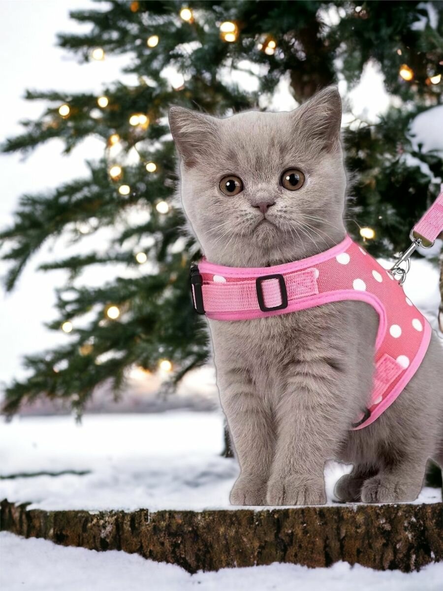 Шлейка для кошек, розовая XS - фотография № 10