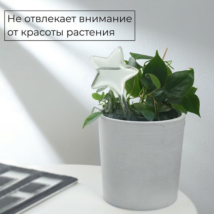 Автополив Для Домашних Растений Автополив для комнатных растений, ПВХ, «Звезда», 100 мл, Greengo