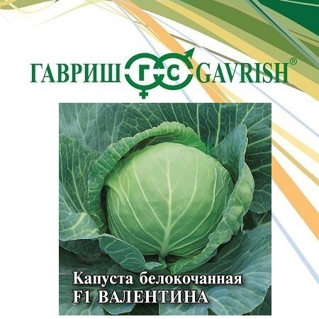 Семена Капуста белокочанная Валентина F1 25г Гавриш Фермерское подворье