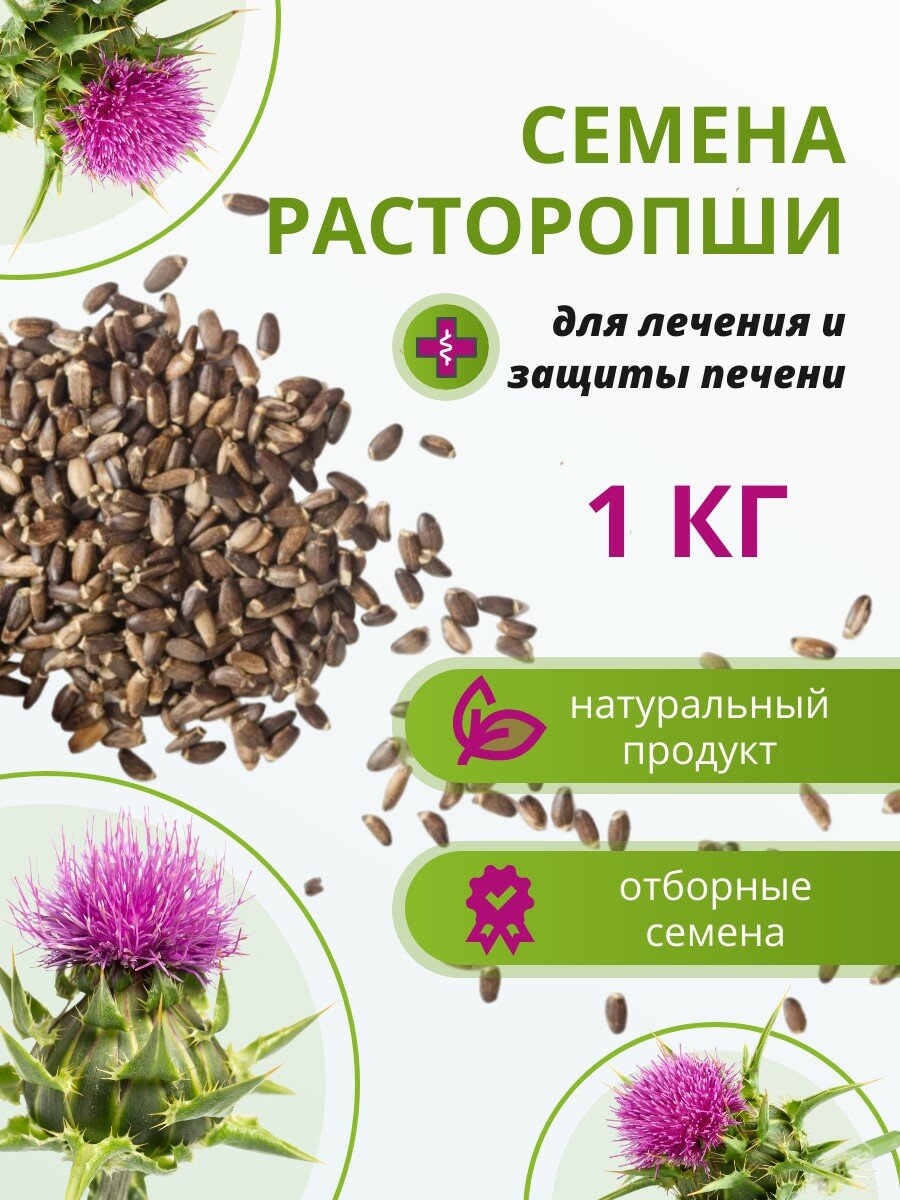 Расторопша семена для проращивания - 1 кг / Семена расторопши для лечения печени
