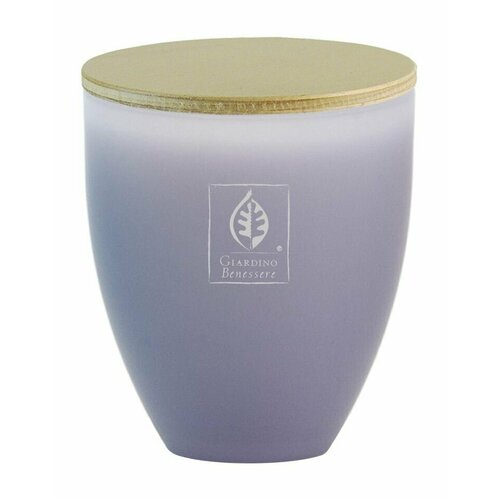 Свеча с зеленым чаем Giardino Benessere 6916₽