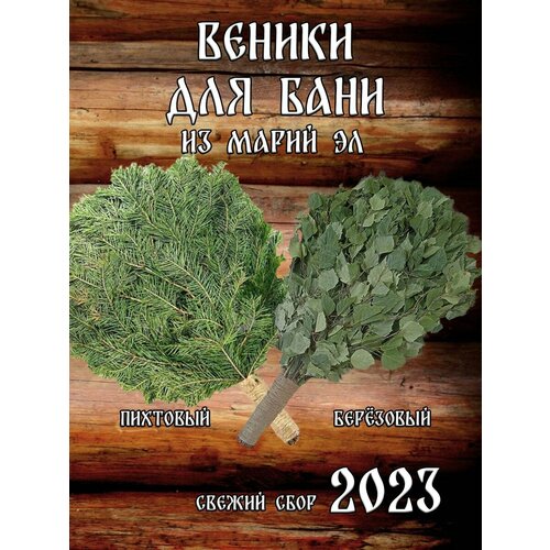 Комплект веников для бани, пихта 1 штука и береза 1 штука из Марий Эл