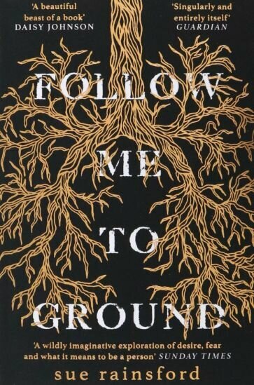 FOLLOW ME TO GROUND (Rainsford Sue) - фото №1