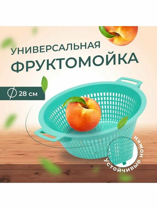 Фруктомойка малая, мятный