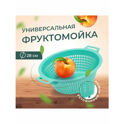 Фруктомойка малая, мятный