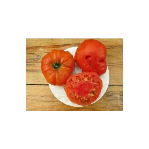 Коллекционные семена томата Южноамериканский Гигант