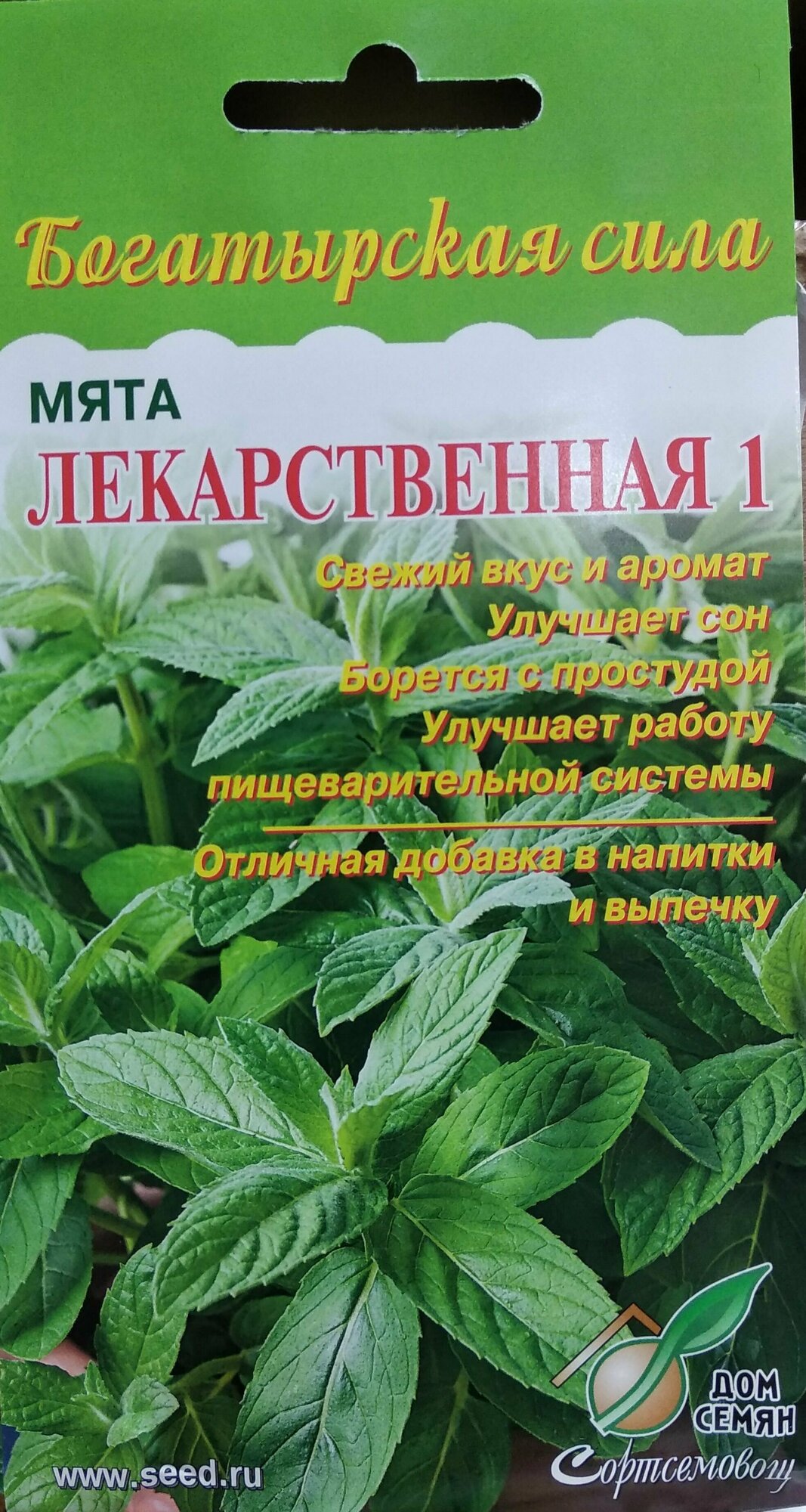 Мята Лекарственная 1 свежий вкус и аромат улучшает сон борется с простудой отличная добавка в напитки и выпечку 210 семян
