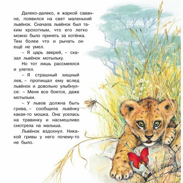 Познаем мир вокруг нас "Приключения львенка"