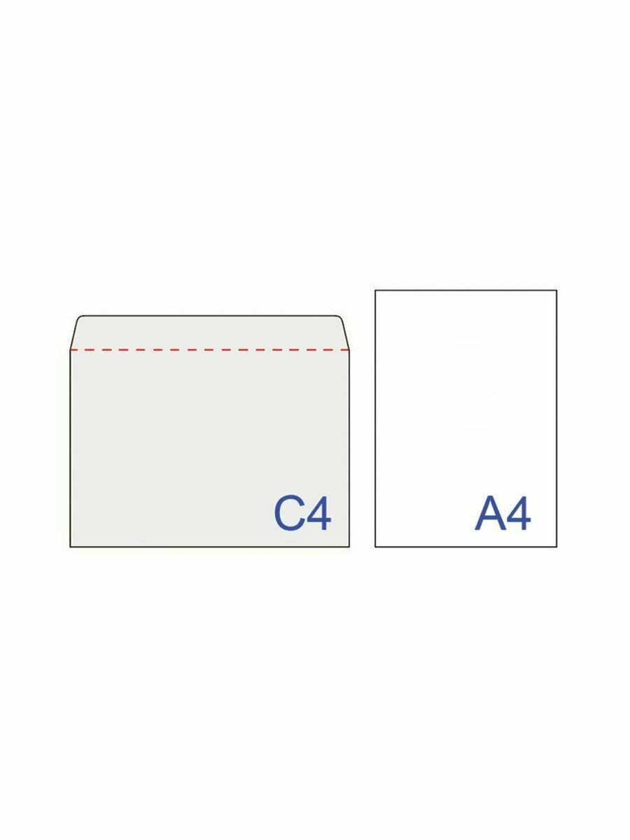 Конверты С4, комплект 500 шт., отрывная полоса STRIP, белые, 229х324 мм РОДИОН ПРИНТ - фото №9