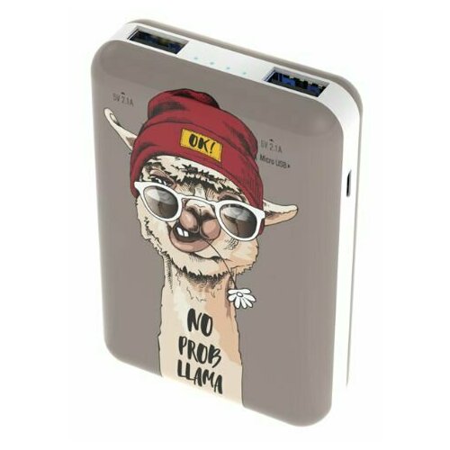 Внешний аккумулятор Ritmix RPB-10007 Lama 251400₽