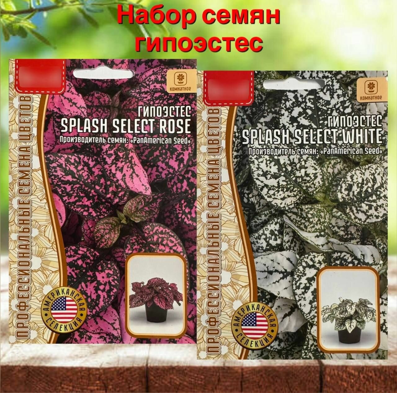 фото Семена растений для дома и сада Гипоэстес Rose и White 2 уп.