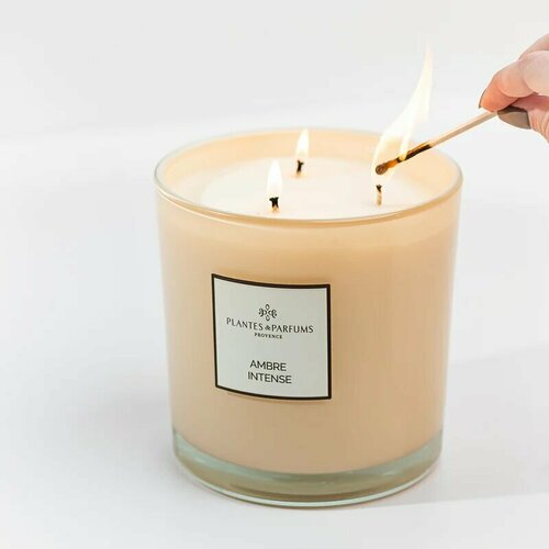 AMBRE INTENSE Очень большая свеча в стекле, Plantes & Parfums