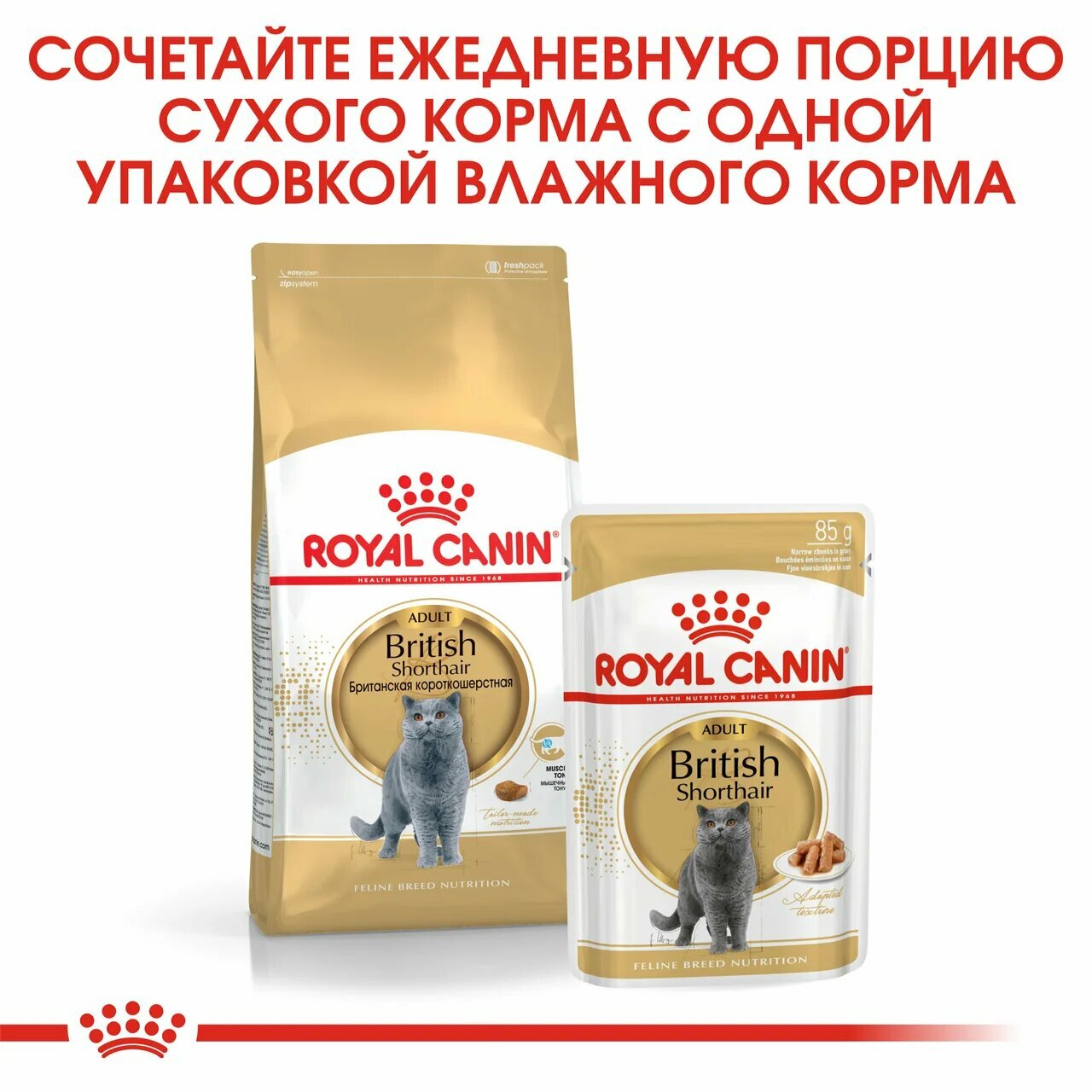 Royal Canin British Shorthair Adult пауч для кошек британской породы (кусочки в соусе) Мясо, 85 г. упаковка 28 шт - фотография № 6