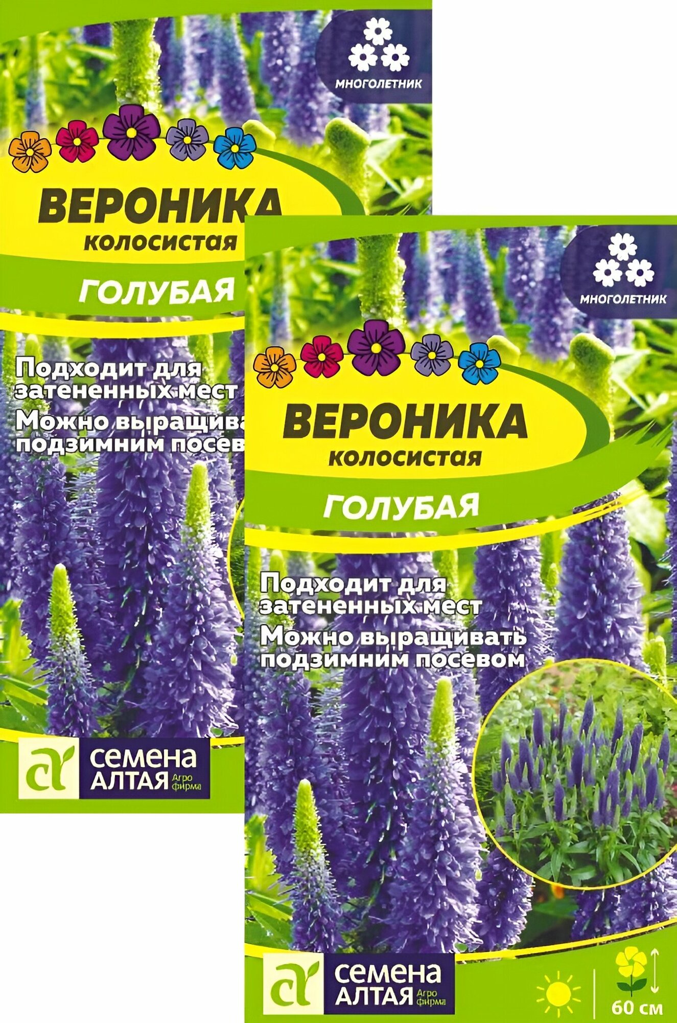 Вероника Голубая колосистая (01 г) 2 пакета