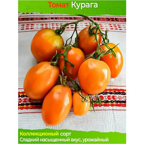 Томат Курага - коллекционный сорт