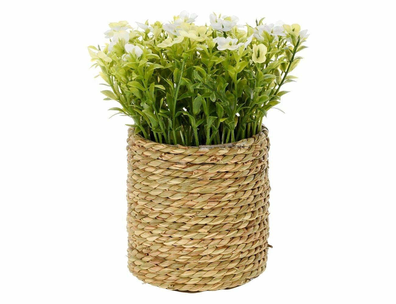 фото Искусственный цветок бровалия белая В плетёном кашпо, 20 см, Koopman International 317221320-4