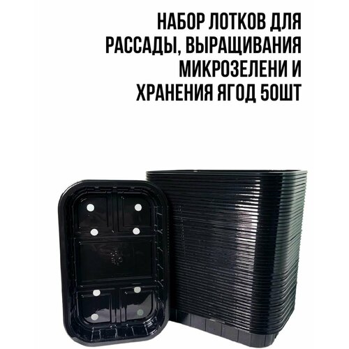 Лотки для выращивания микрозелени и рассады с перфорацией 50шт черный