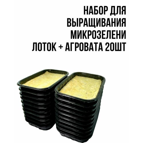Набор агровата+лоток для выращивания микрозлени 20шт черный, бежевый