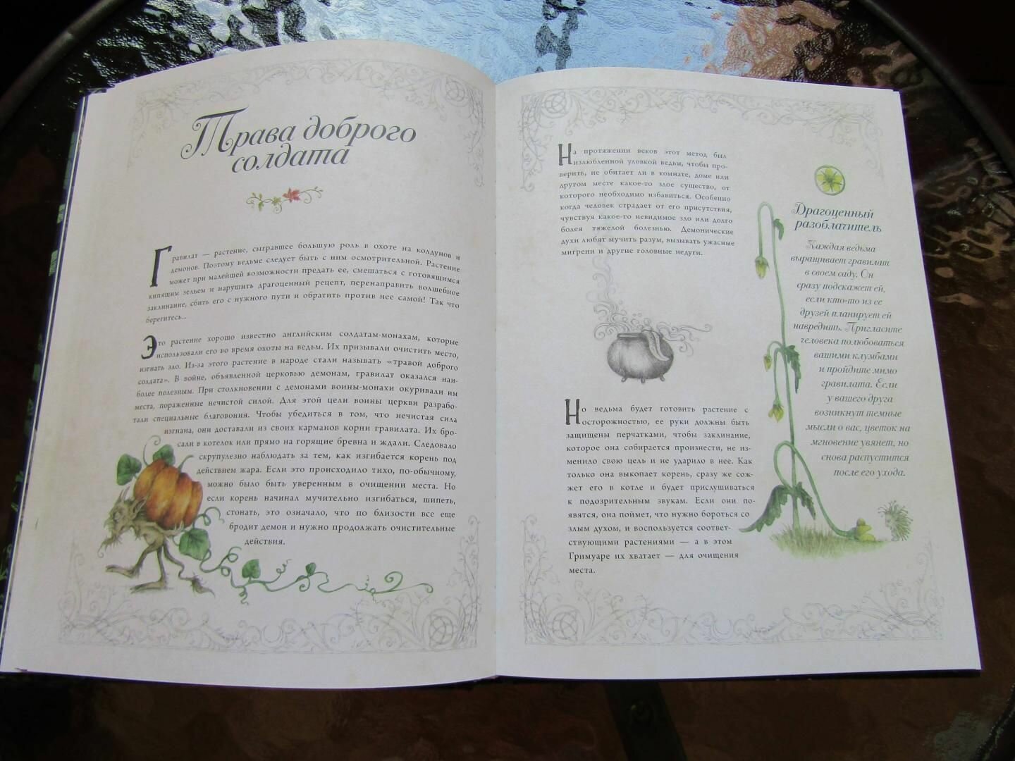 Секреты колдовских растений (Эли Ришар) - фото №12