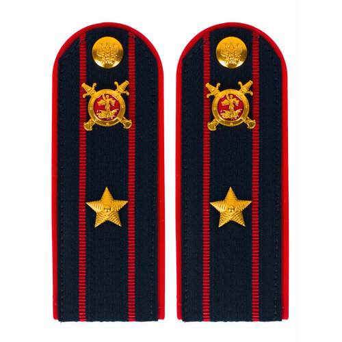 Погоны Полиции Пластик (в сборе) укомплектованные с фурнитурой темно-синие (Младший лейтенант) 14х5см