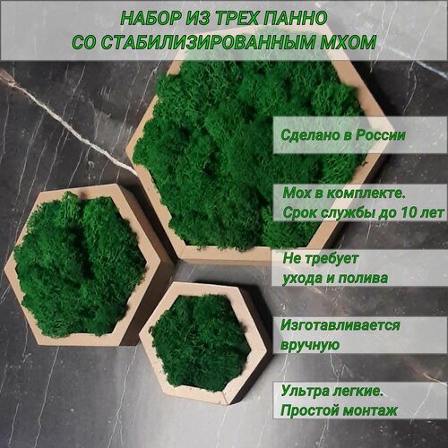 Декоративные панно - кашпо на стену со мхом / соты 10, 15, 20 см / бежевые бежевый