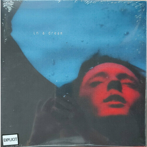 troye sivan blue neighbourhood 2lp виниловая пластинка Виниловая пластинка Troye Sivan - In a dream. 1 LP