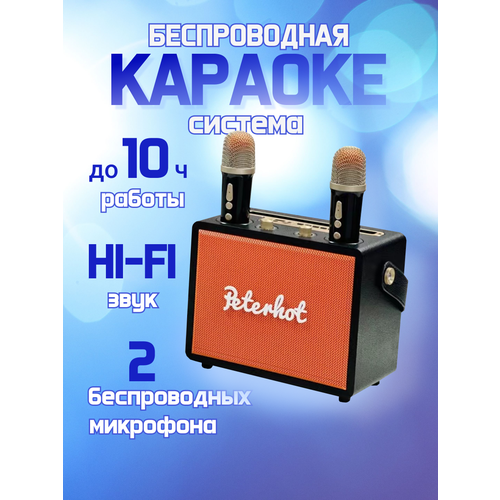 Караоке система с двумя микрофонами, динамик оранжевый