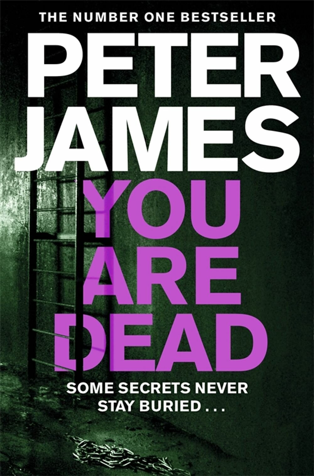 You Are Dead / James Peter / Книга на Английском / Клеймо смерти / Джеймс Питер