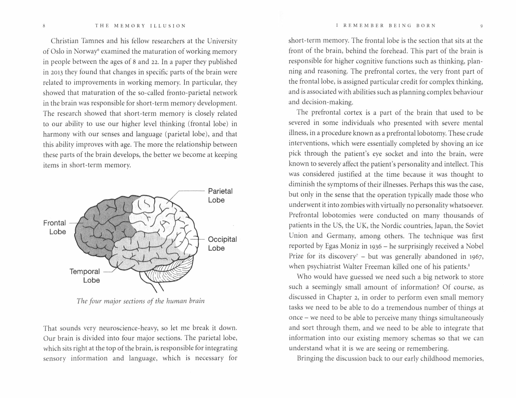 The Memory Illusion. Remembering, Forgetting, and the Science of False Memory / Книга на Английском - фото №2