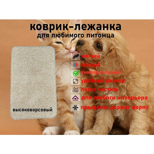 Мягкий, высоковорсовый коврик для животных Новостройка 80*50