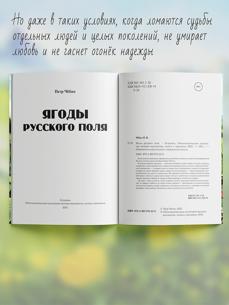 Ягоды русского поля (Чёбин Петр Васильевич) - фото №5