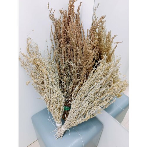 Полынные веники. Набор из 3 шт. Для бани, обрядов, создания композиций, свечей .