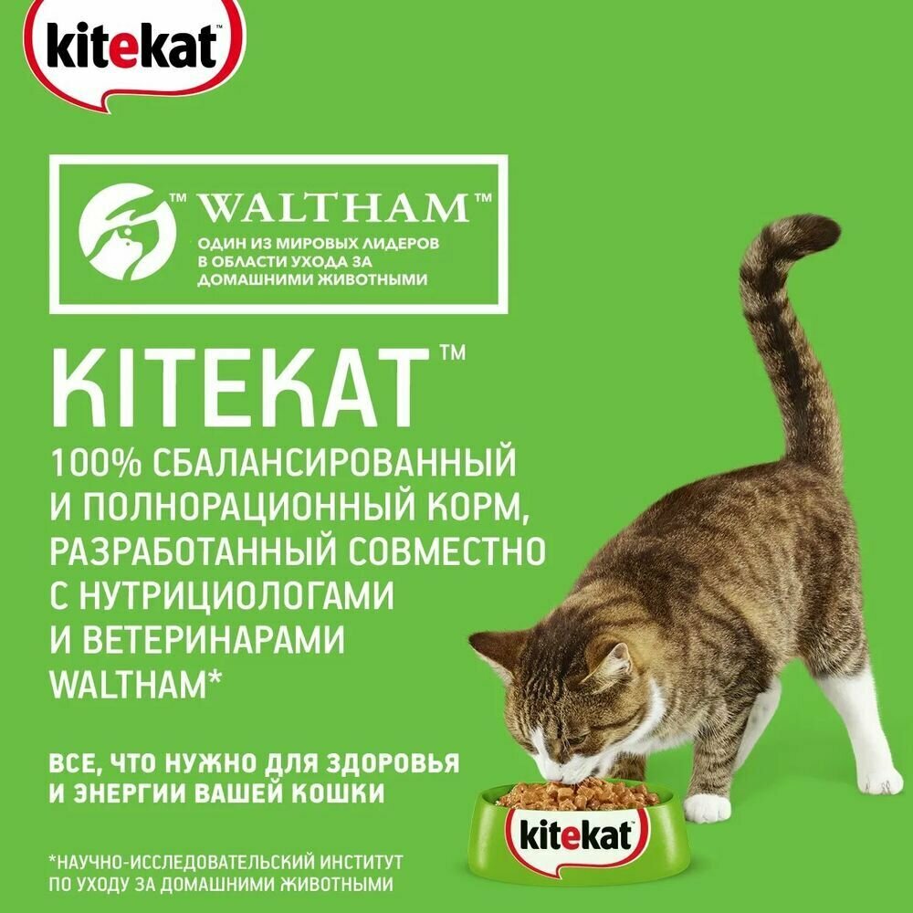 Корм влажный Kitekat полнорационный для взрослых кошек со вкусом рыбы в соусе «Вкусная треска», 28шт х 85г