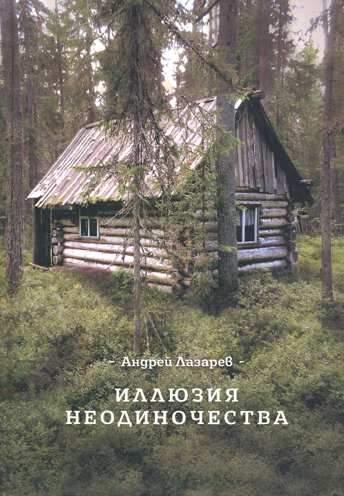 Иллюзия неодиночества (Лазарев Андрей Петрович) - фото №4