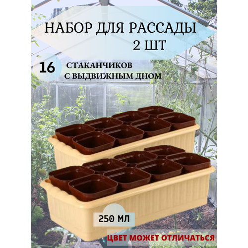 Набор для рассады (поддон+горшочки) 2шт коричневый, бежевый, желтый
