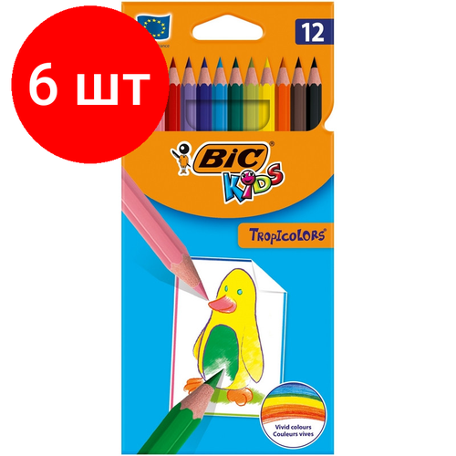 Комплект 6 наб, Карандаши цветные 12цв 6-гран Bic Tropicolors 832566