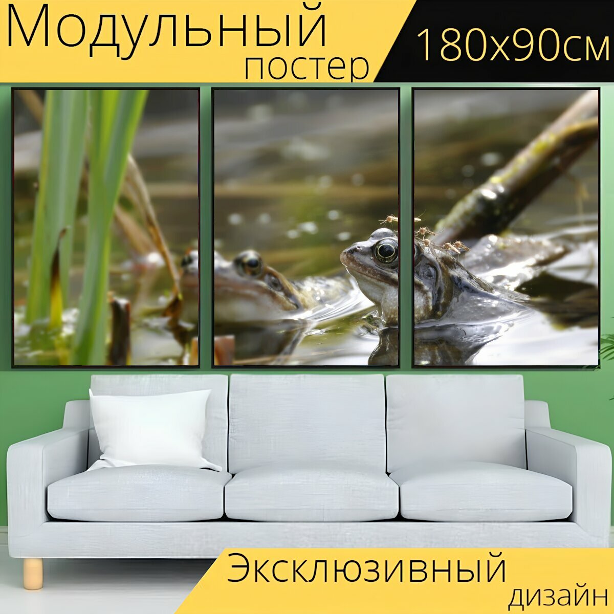 Модульный постер "Лягушка, пруд, грин" 180 x 90 см. для интерьера