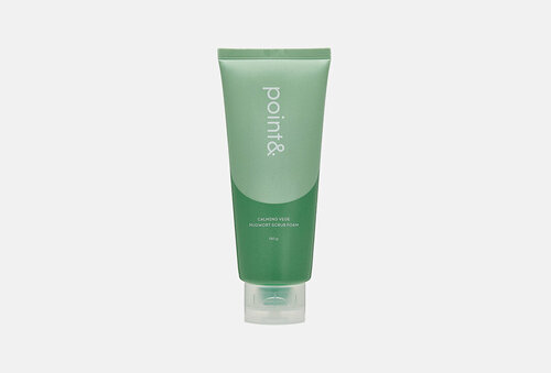 Пенка-скраб для очищения лица point& Calming Vege Mugwort Scrub Foam / вес 150 г