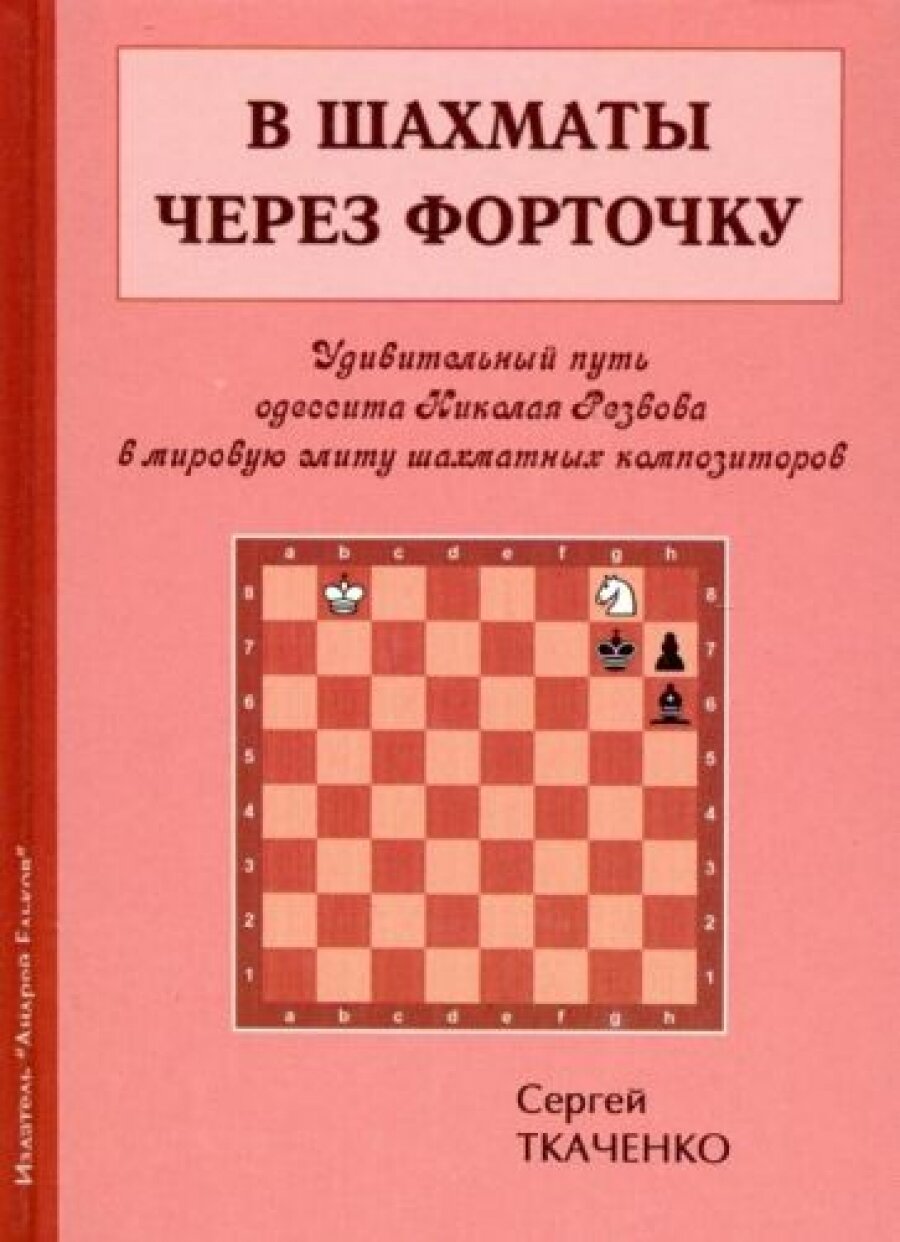 В шахматы через форточку (Ткаченко Сергей Николаевич) - фото №4