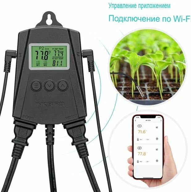 Wi-Fi термостат INKBIRD IPT-2CH цифровой термостат, двойной релейный выход — фото 1