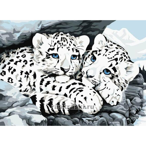 Алмазная мозаика Цветной «Ягуарята» (30х40 см, полная выкладка, круглые непрозрачные стразы)
