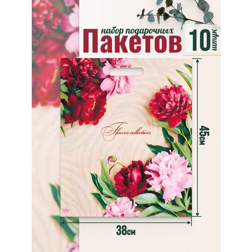 Подарочный полиэтиленовый пакет плотный с ручками 10 шт