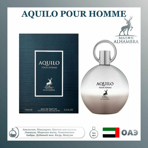 Парфюмерная вода Aquilo Pour Homme, Alhambra, 100 мл парфюмерная вода orient blanc pour homme fragrance world 100 мл