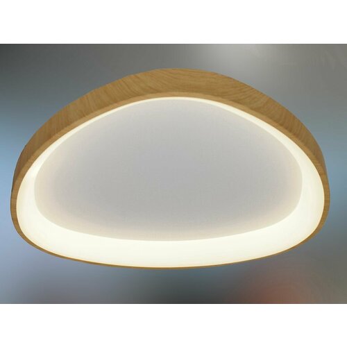 Cветильник светодиодный LED круглый (23876)